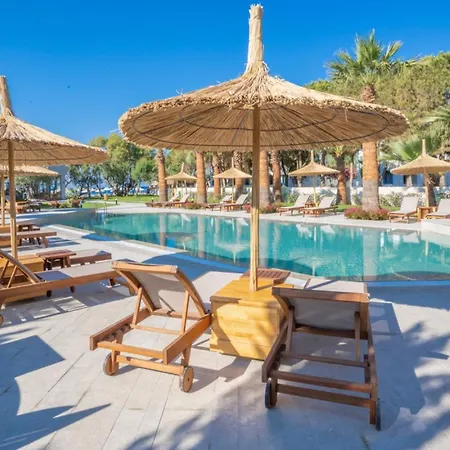 Apartamento Feel The Comfort At